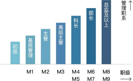 管理職位晉升體系