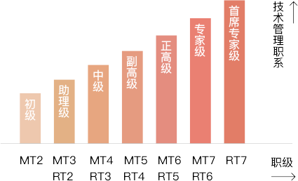 技術(shù)專職晉升體系